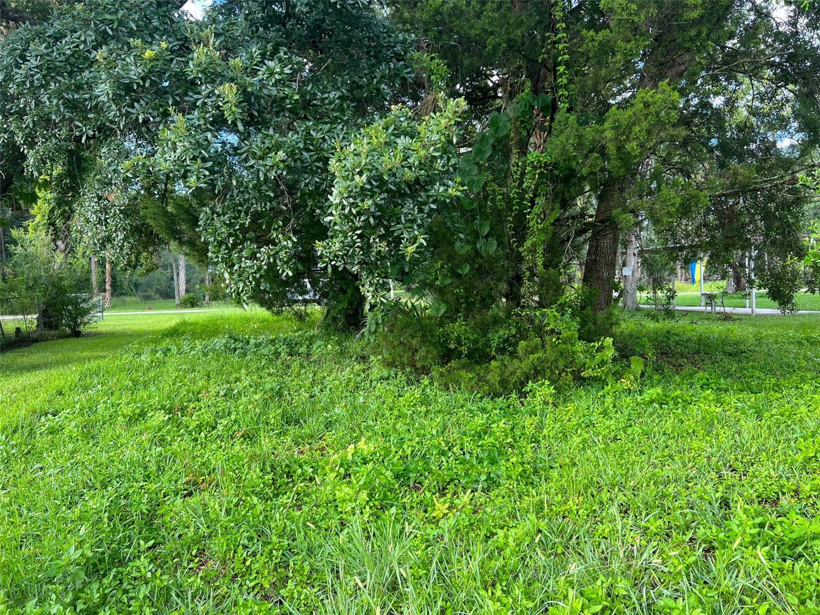 6049 Colony Circle, FL