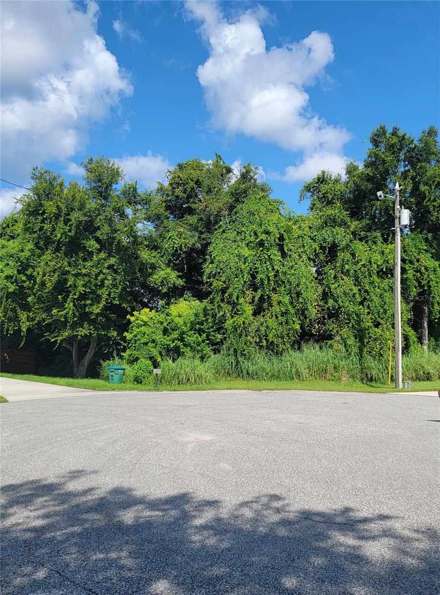 432 Chestnut Court, FL