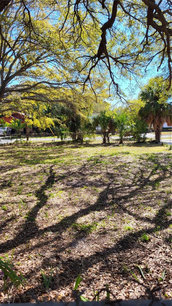 31st Street, FL