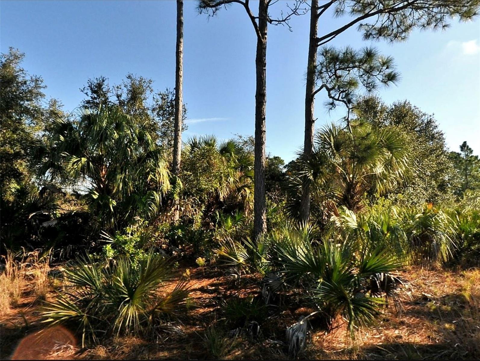 Lot 3 Hamburg Drive, FL