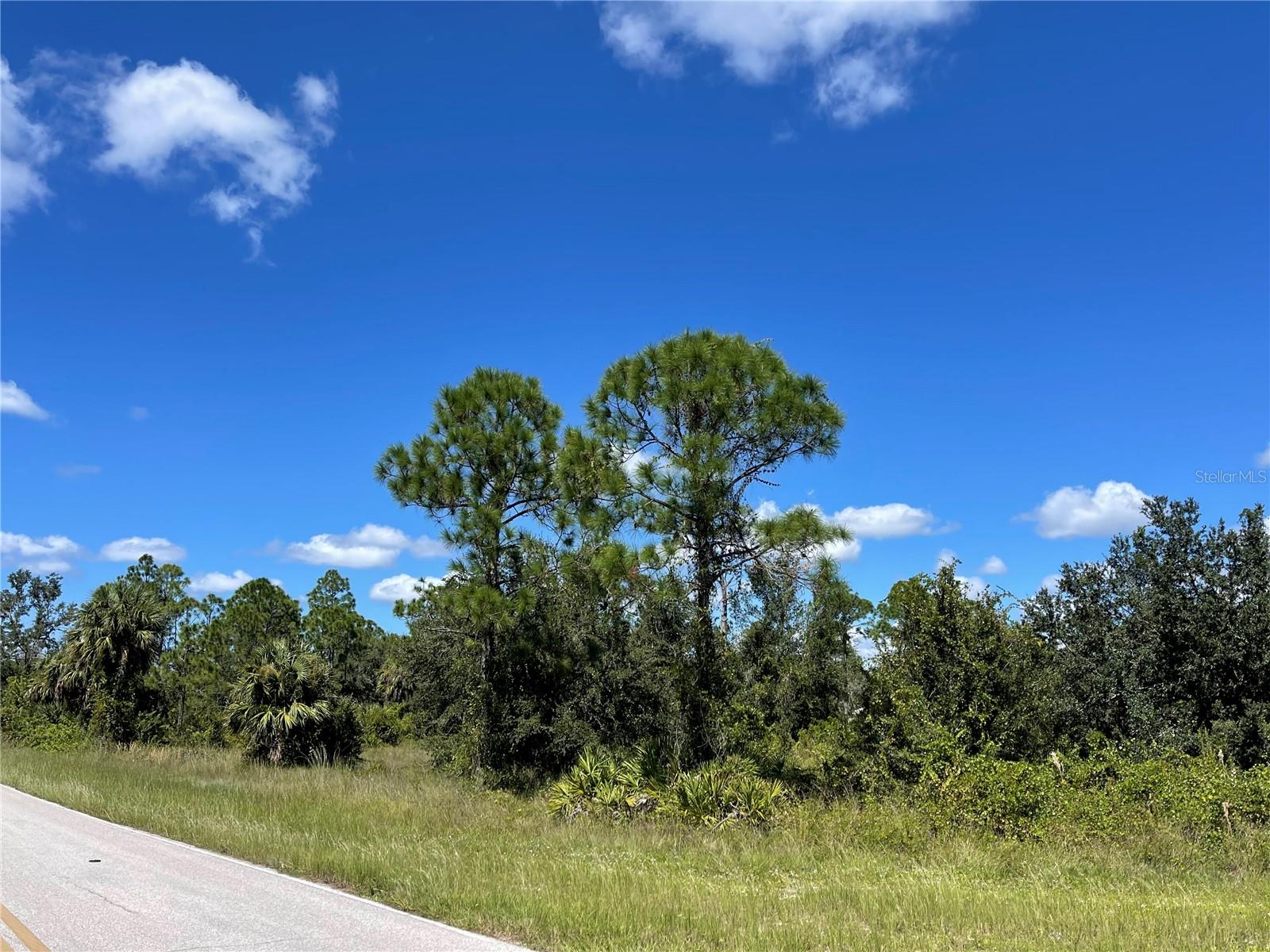 27554 Monte Cristo Boulevard, FL