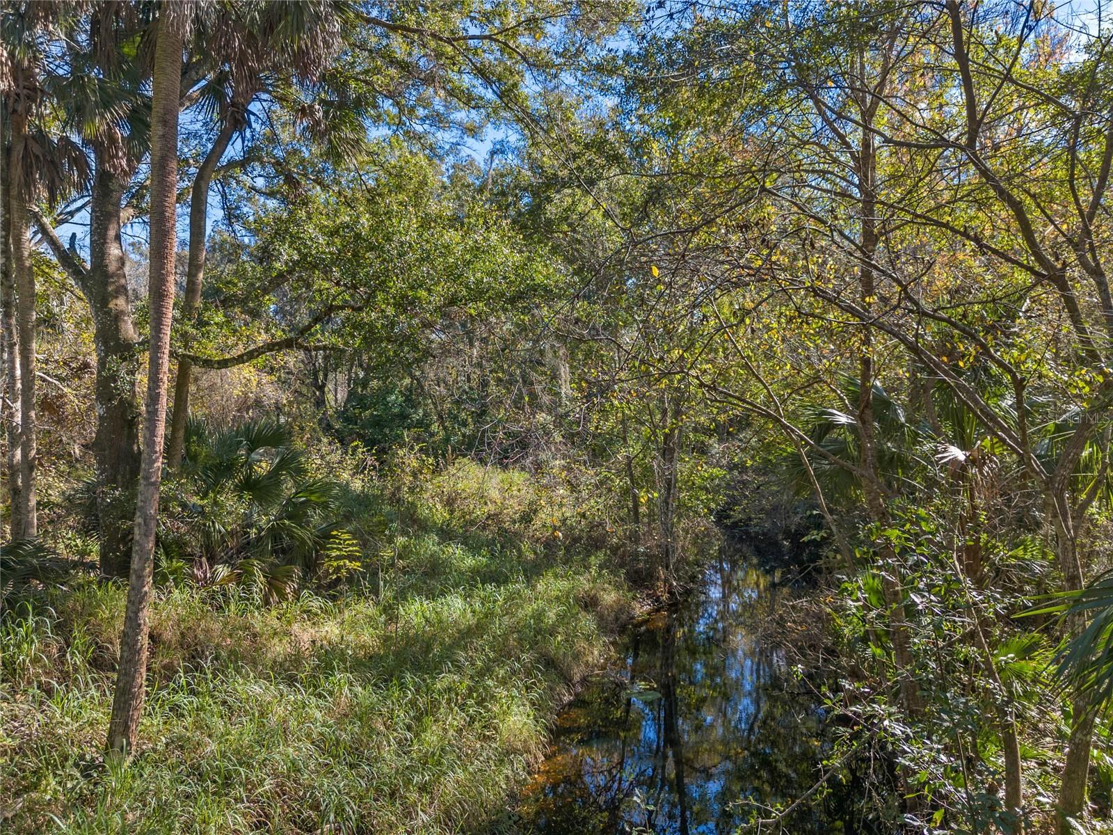 13524 Corkwood Lane, FL