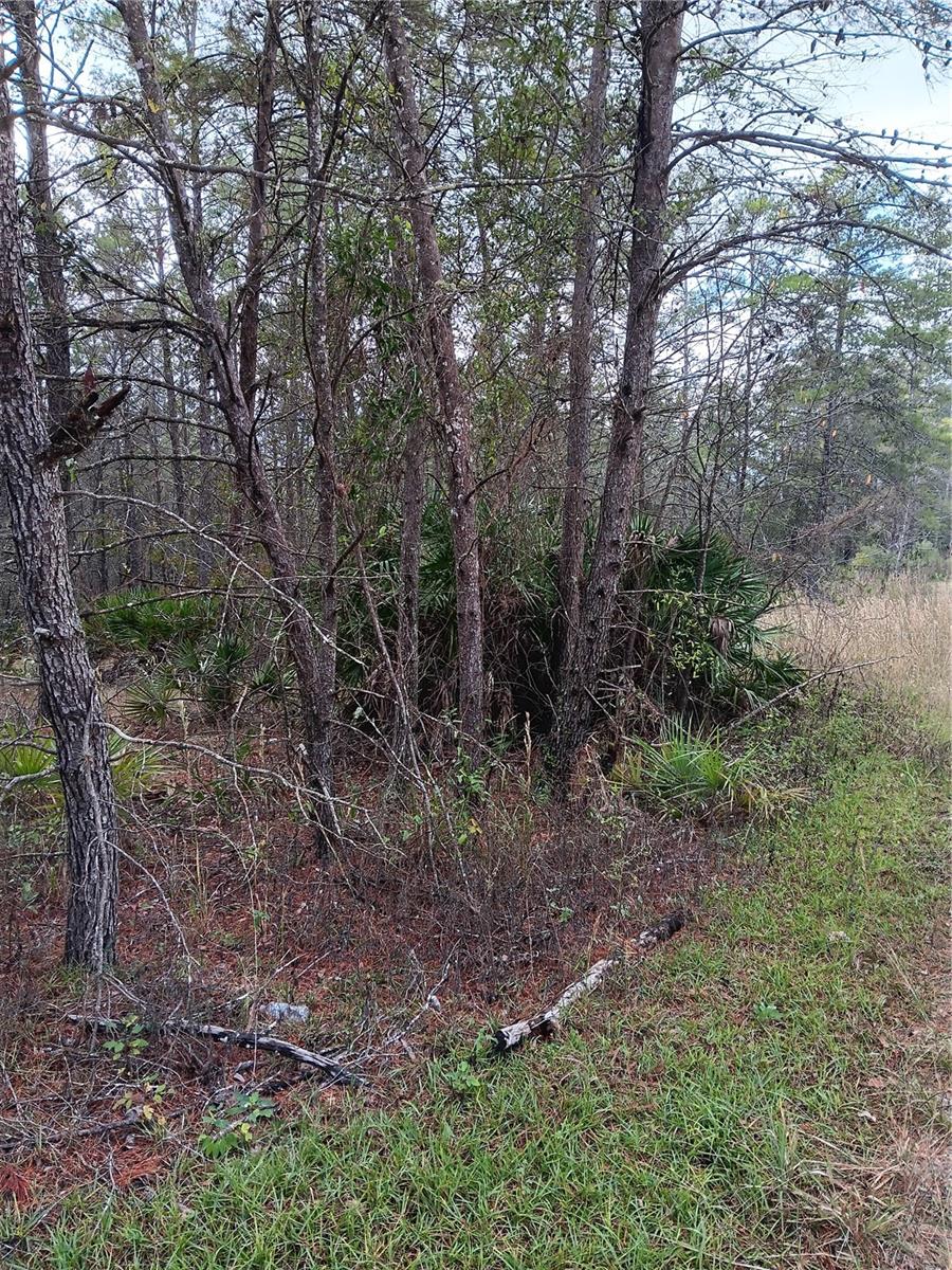 5144 Osmond Lane, FL
