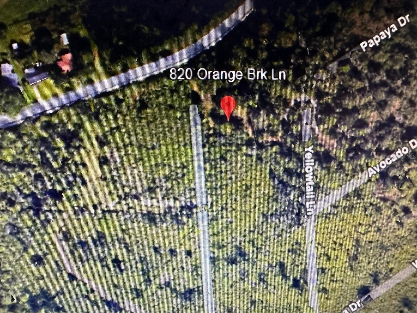 820 Orange Brook Lane, FL