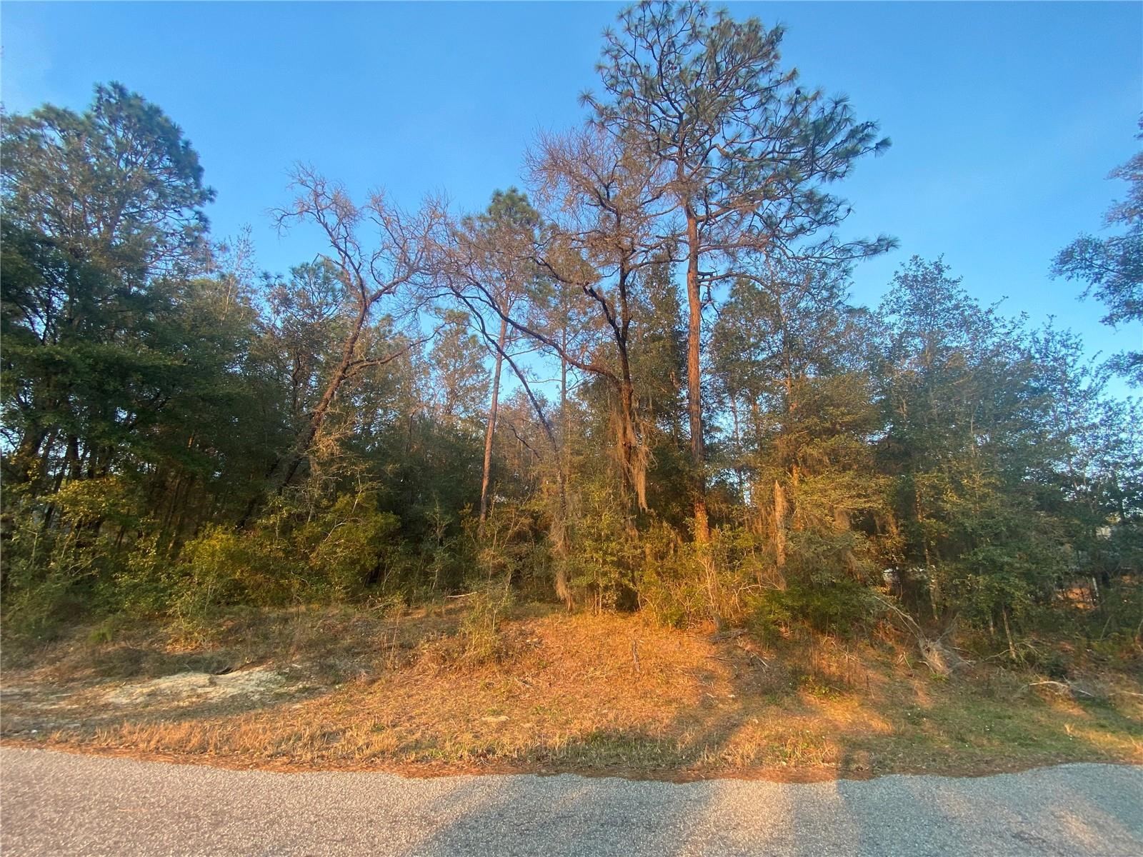 Lot 28 206 Circle, FL