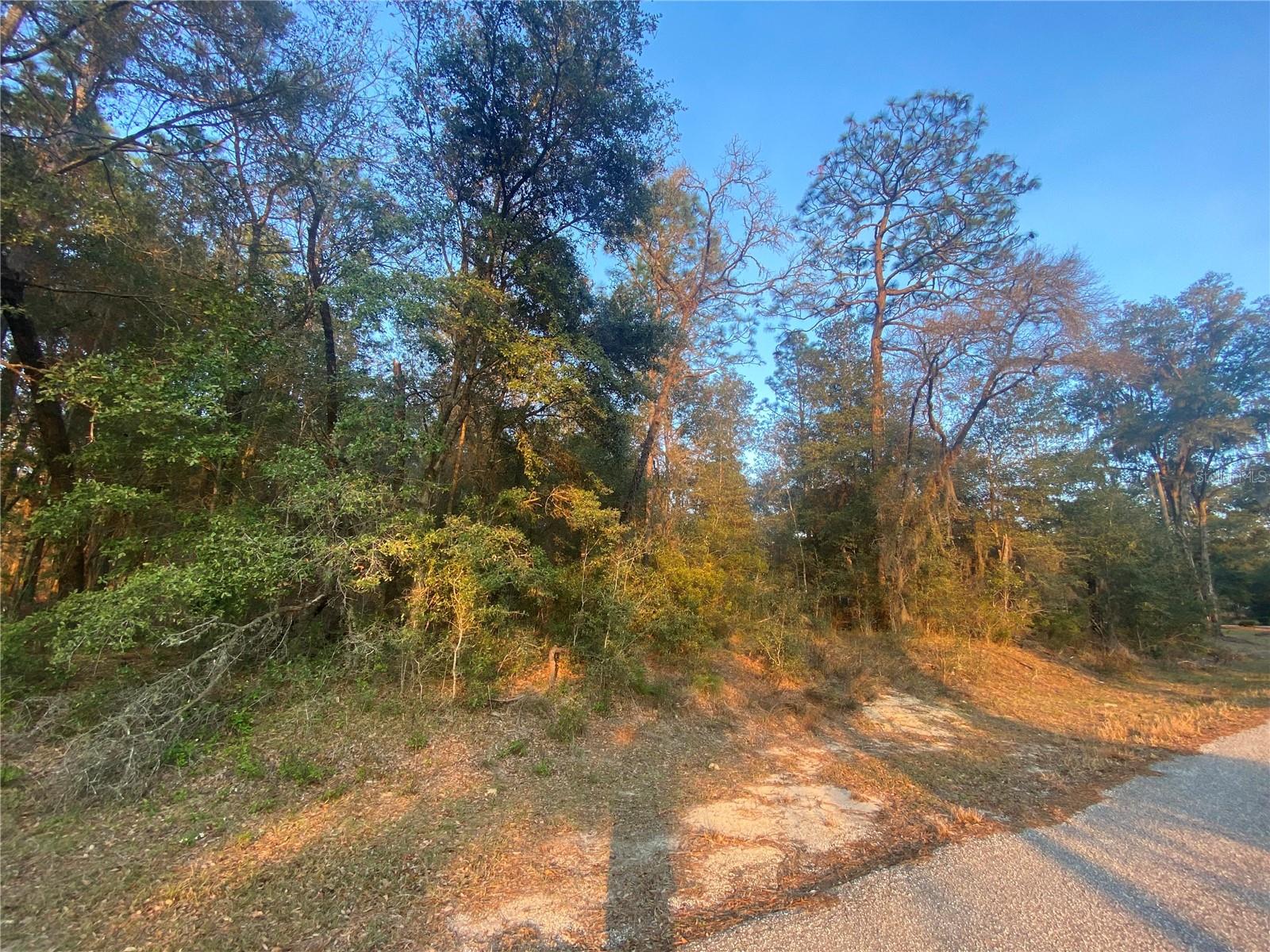 Lot 28 206 Circle, FL