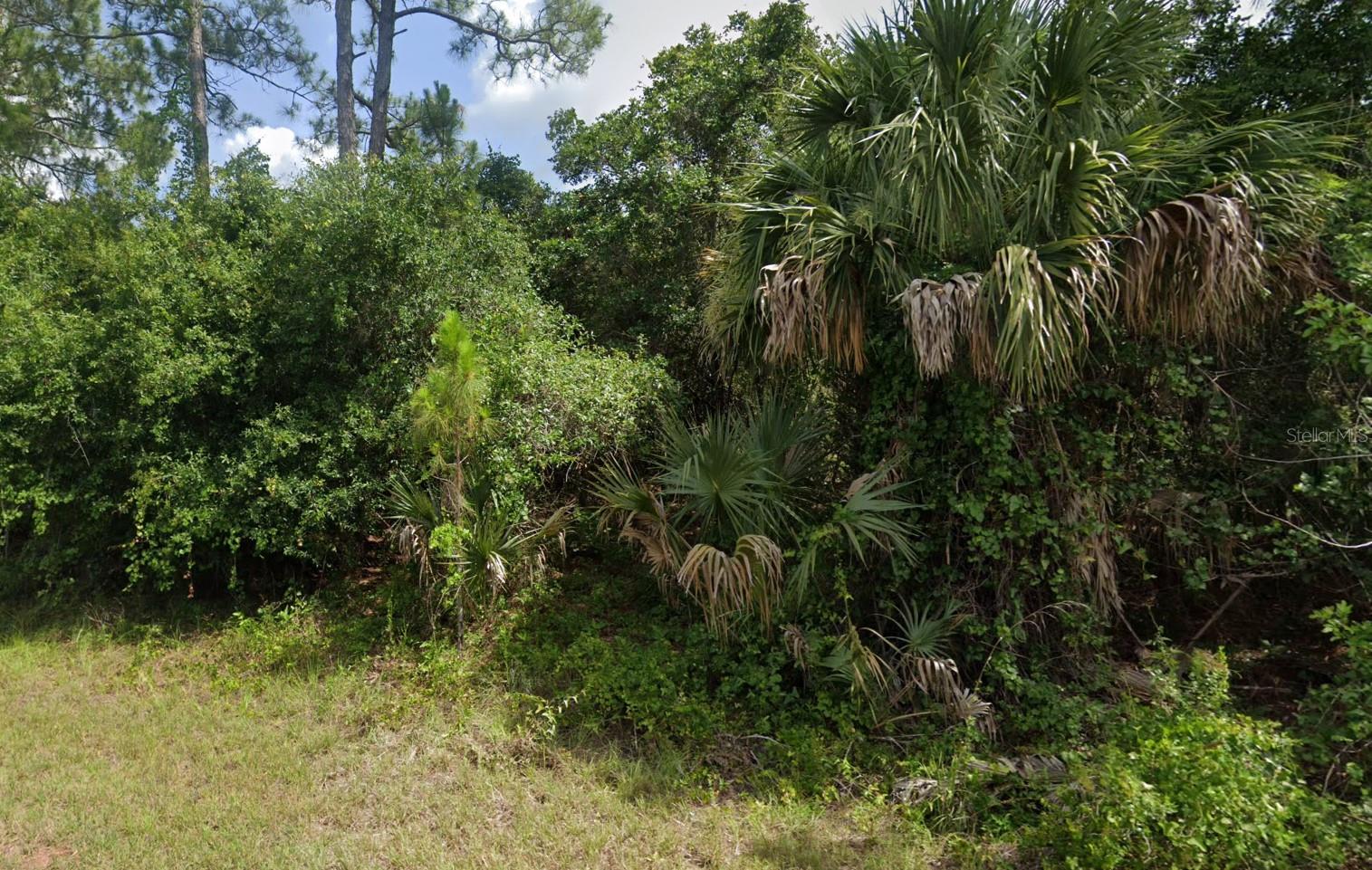 Antique Circle, FL