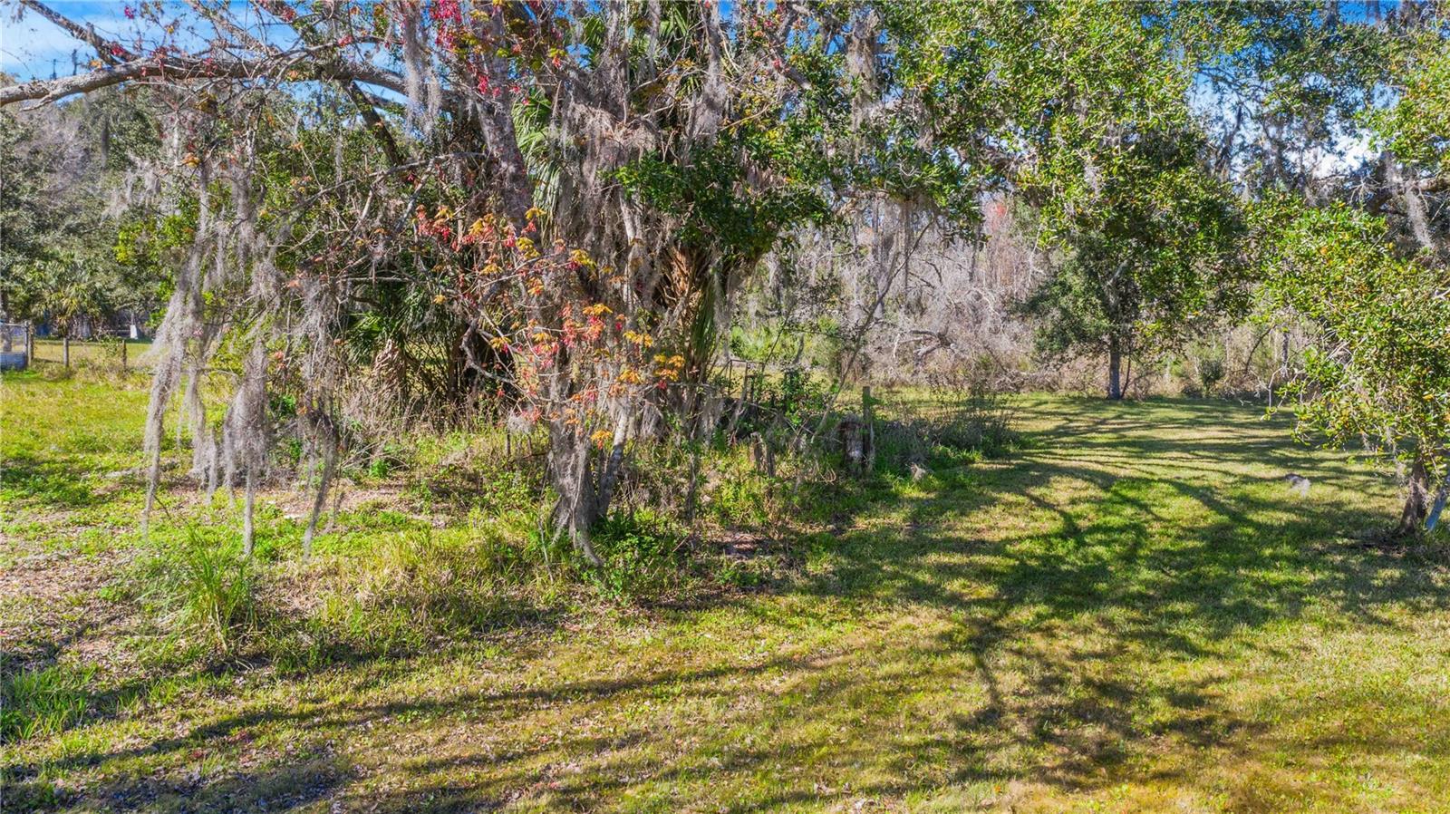 Locke Road, FL