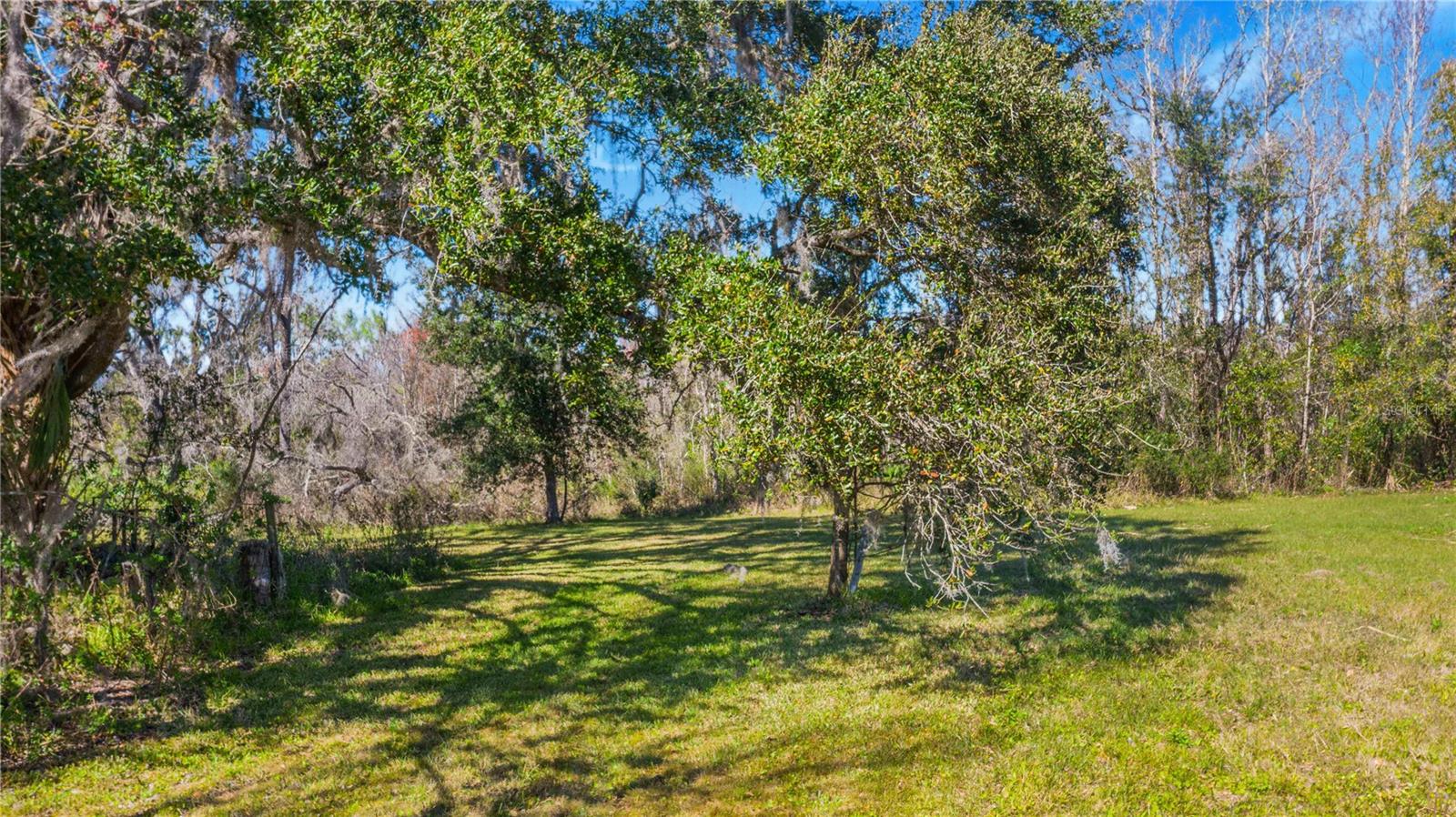 Locke Road, FL
