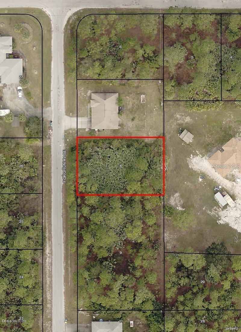 3213 Forghun Avenue, FL