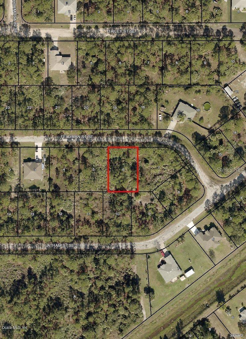 256 Feldman Street, FL
