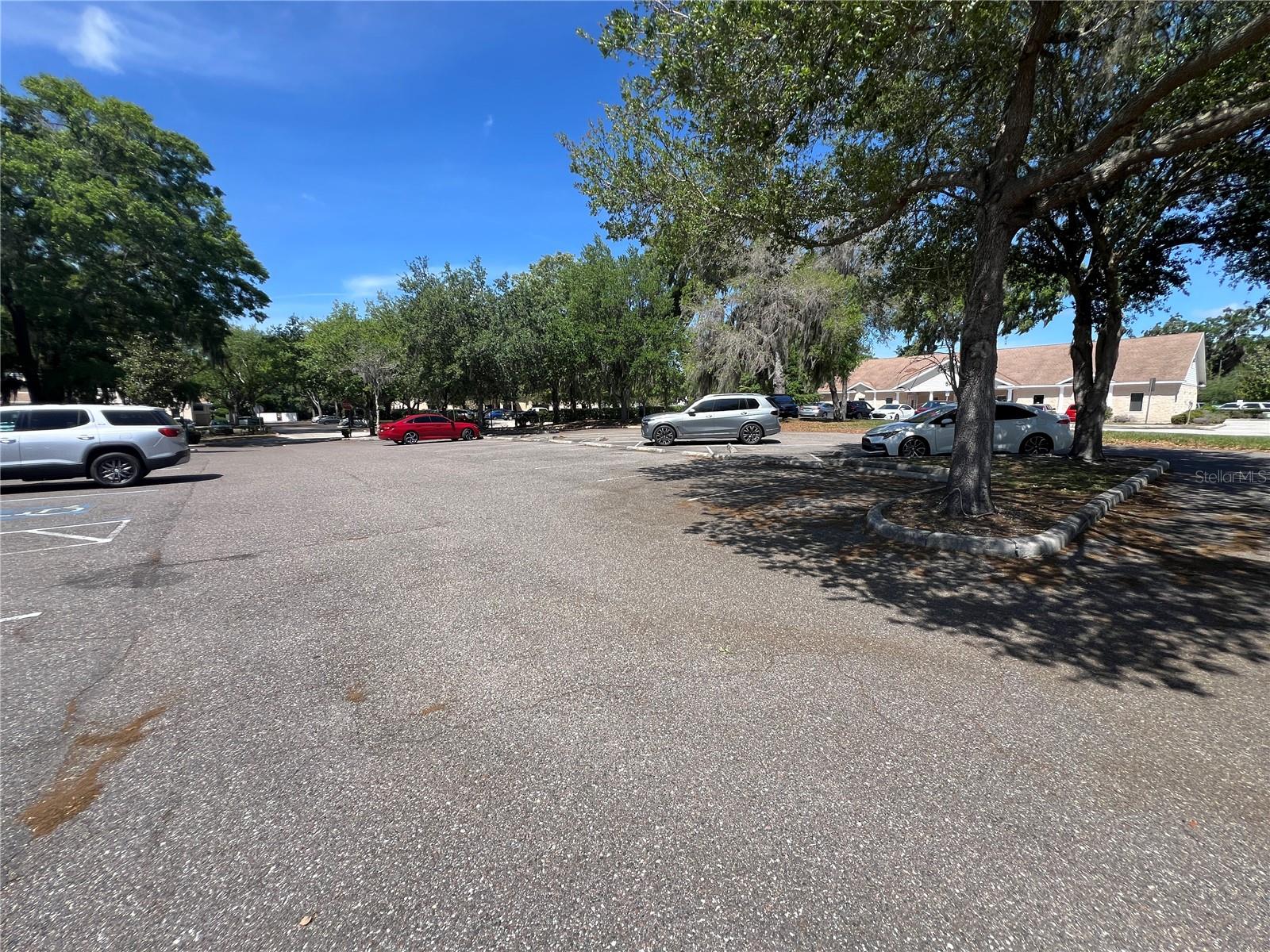 533 Medical Oaks Avenue, FL