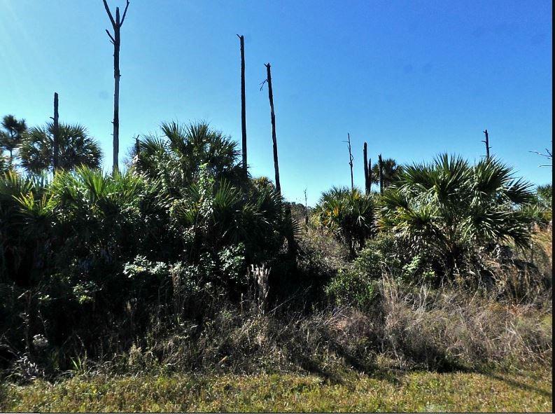 Ewen Circle, FL