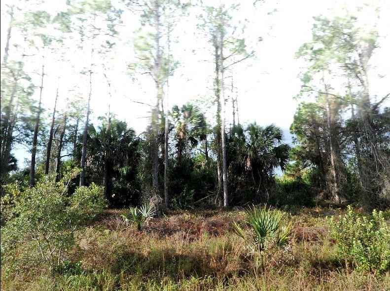 Hampshire Circle, FL