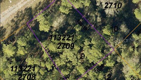 Lestock Avenue, FL