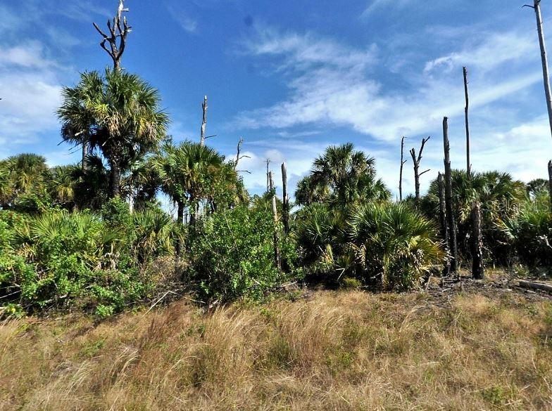 Farview Drive, FL