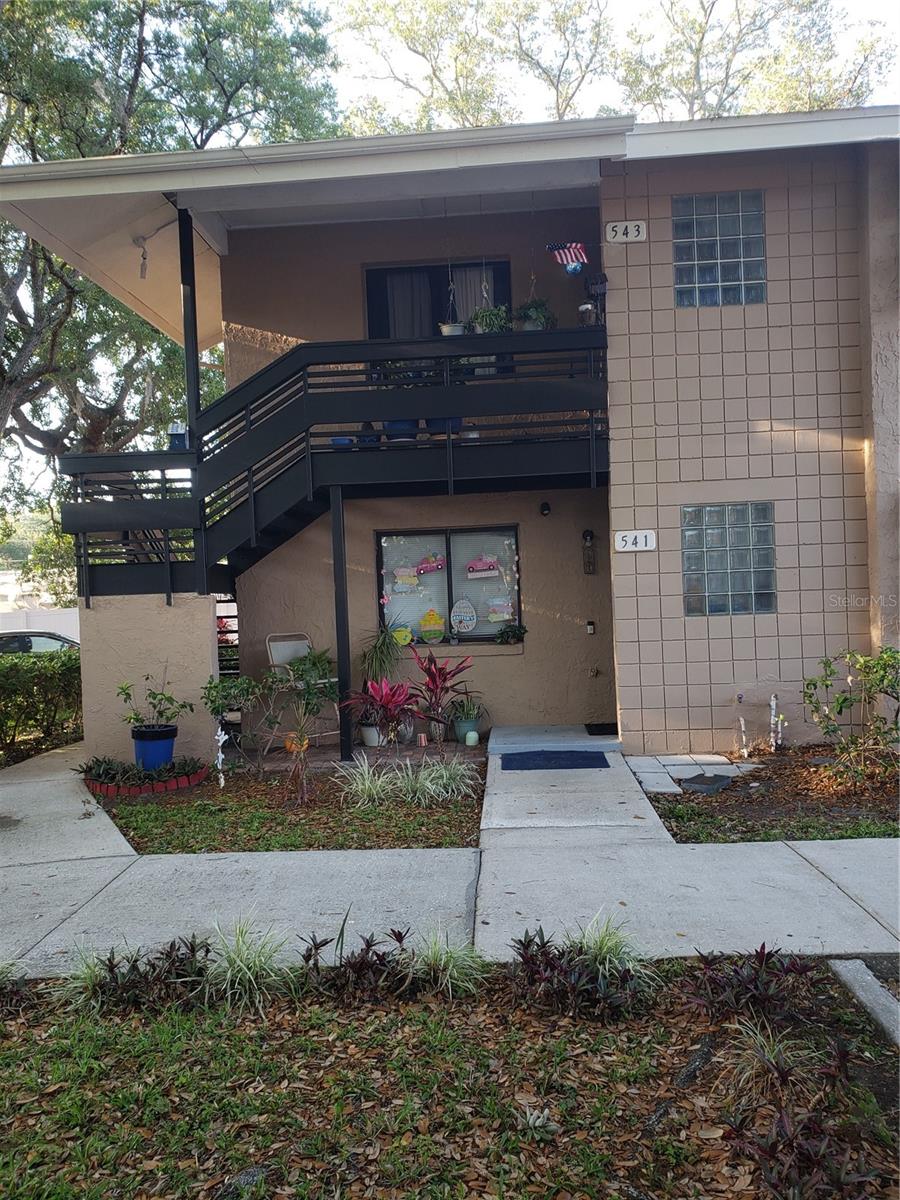541 Trellis Court, FL