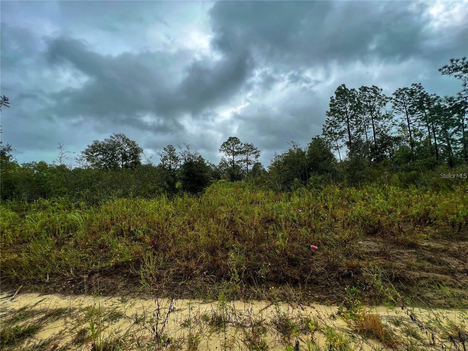 5451 141 Terrace, FL