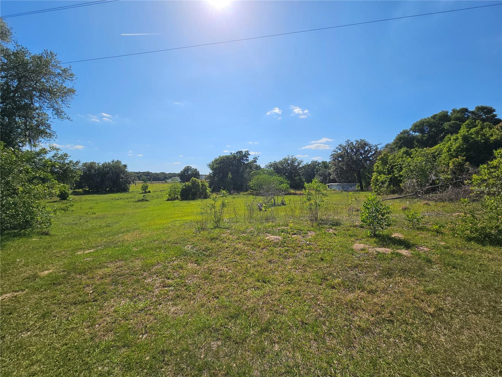38646 Clinton Avenue, FL