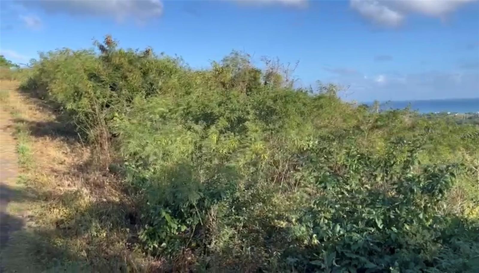 Comunidad Villa BorinquéN, PR