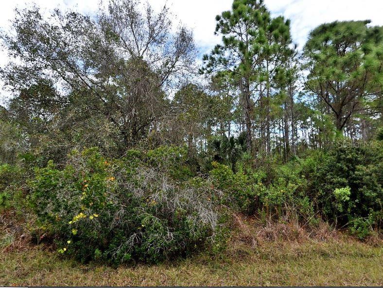 Silverleaf Road, FL