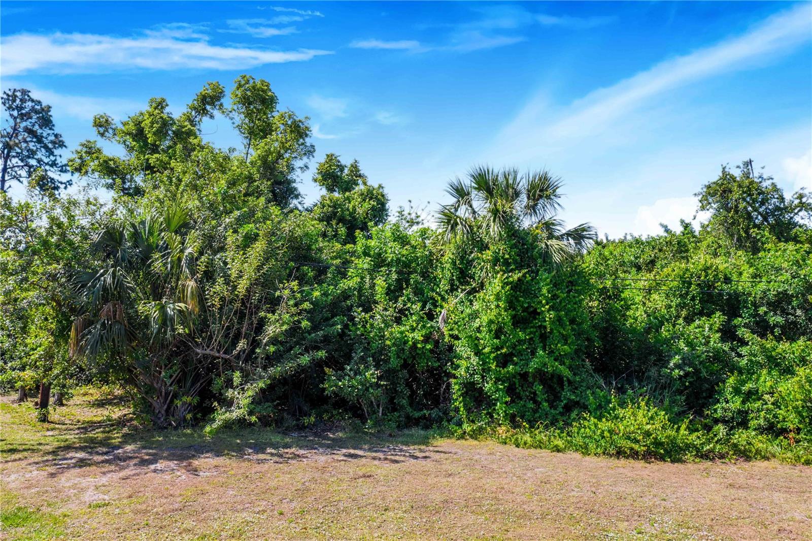 23108 & 23116 Olean Boulevard, FL