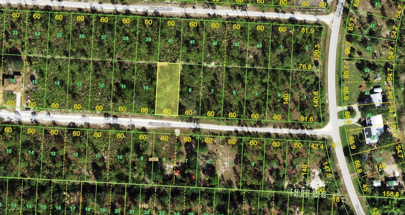 27118 Chamois Drive, FL