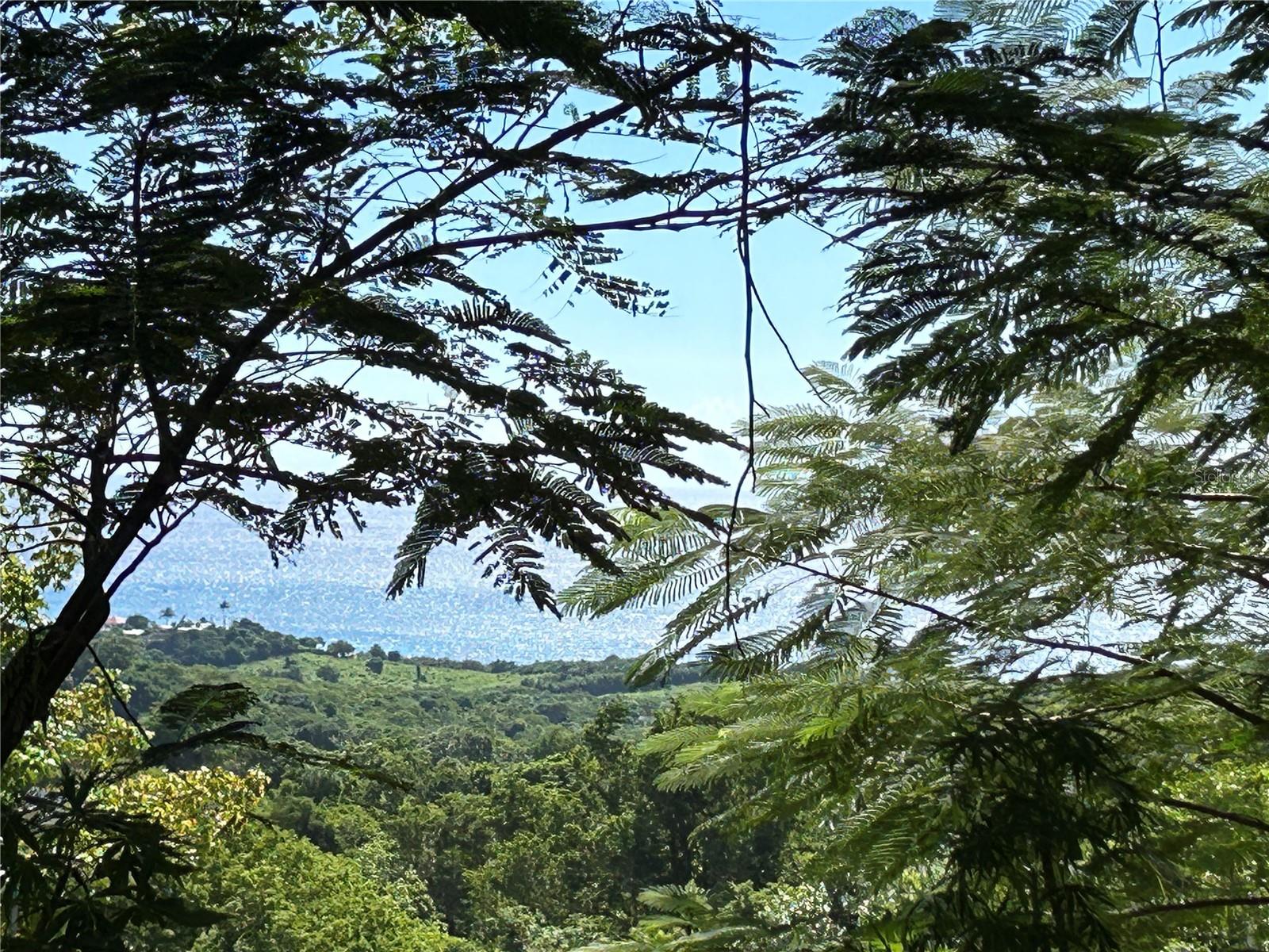 La Llave, PR