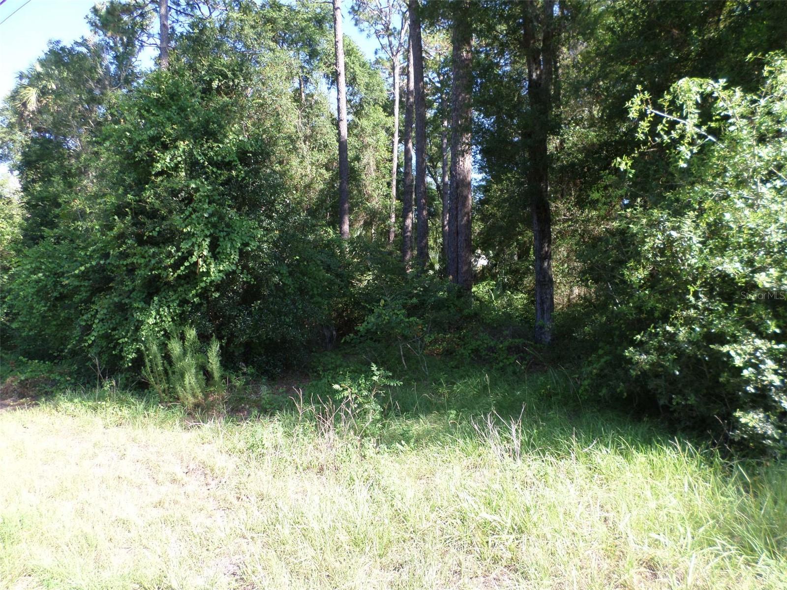 00 W. Highway 40, FL
