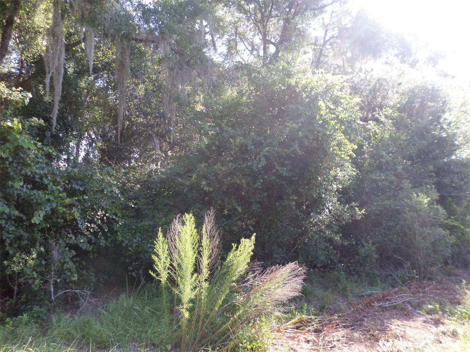 00 W. Highway 40, FL