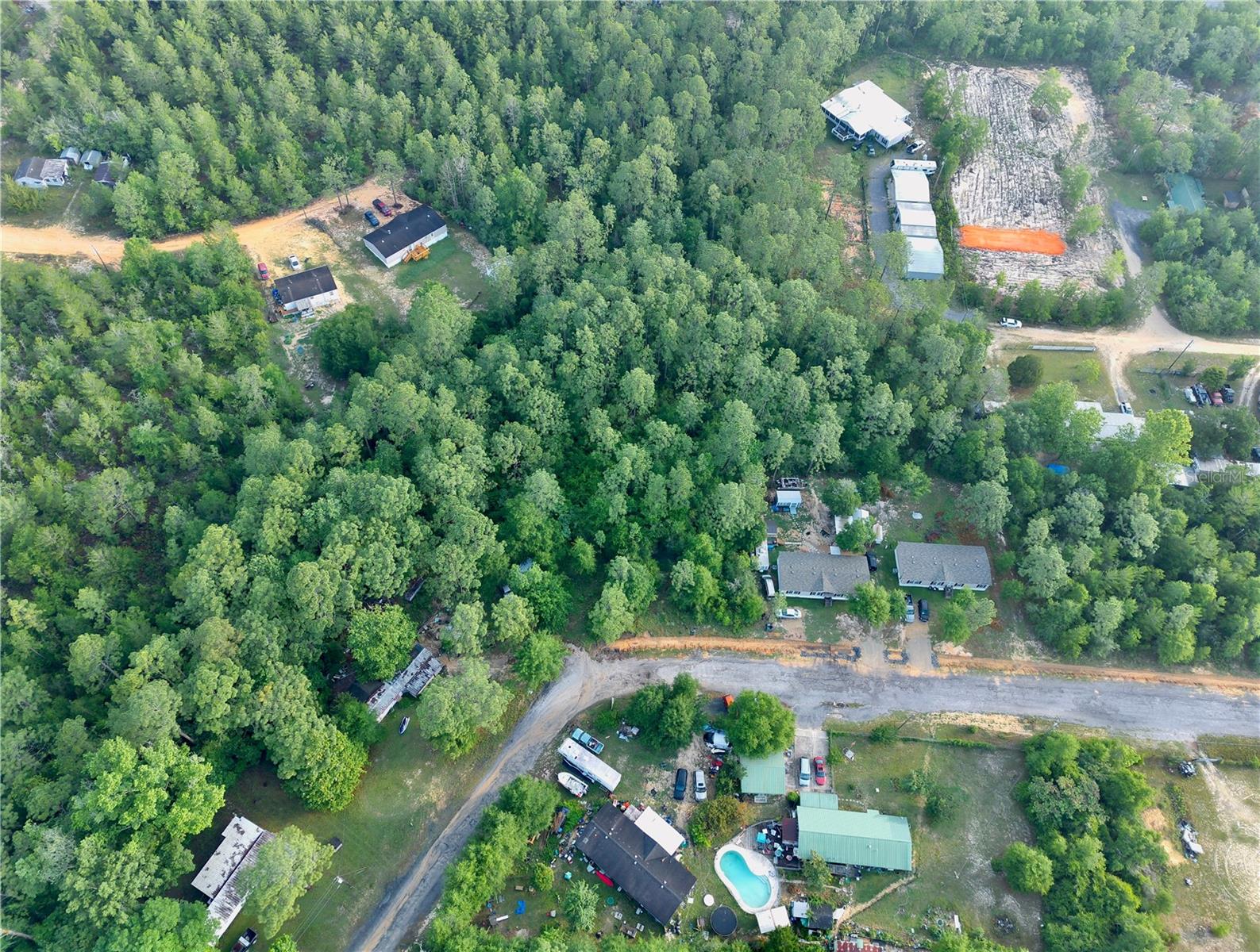 Pinetree Lane, FL