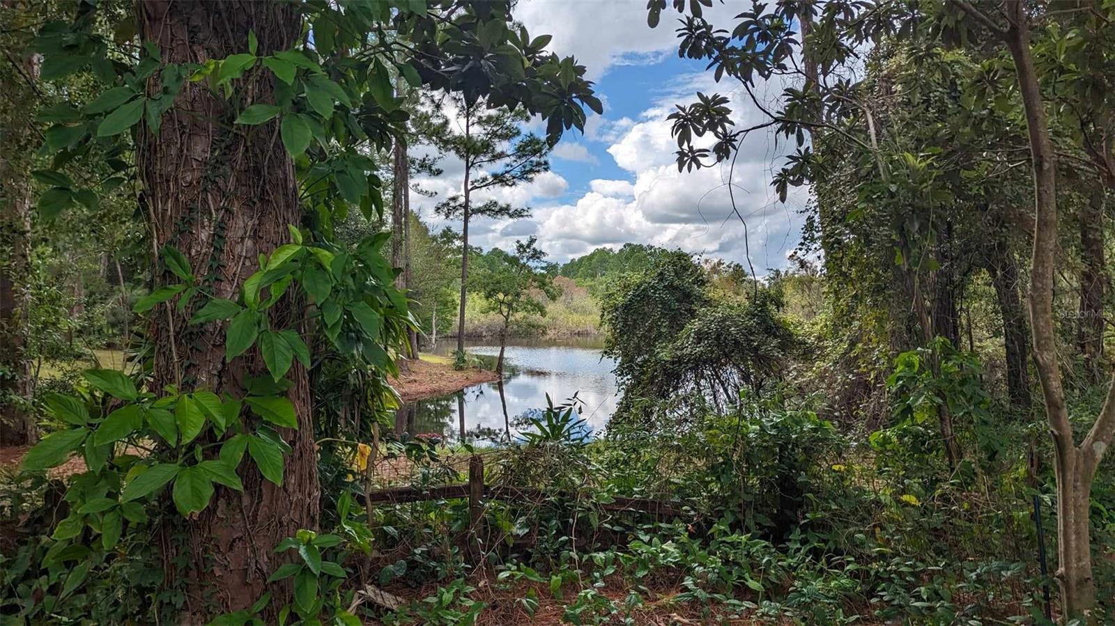 268 Almyra Drive, FL