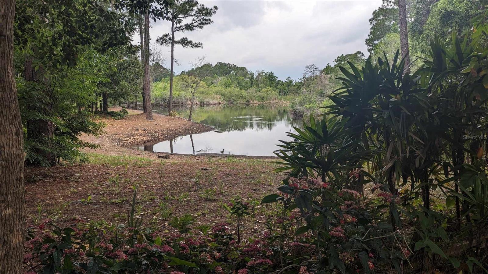 268 Almyra Drive, FL