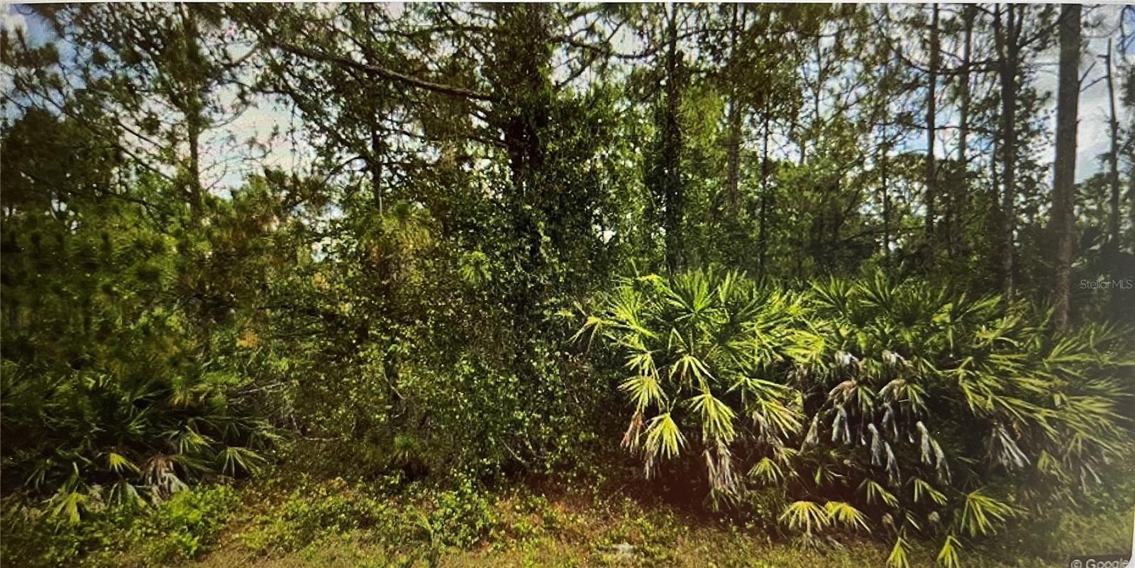 LEHIGH ACRES, FL