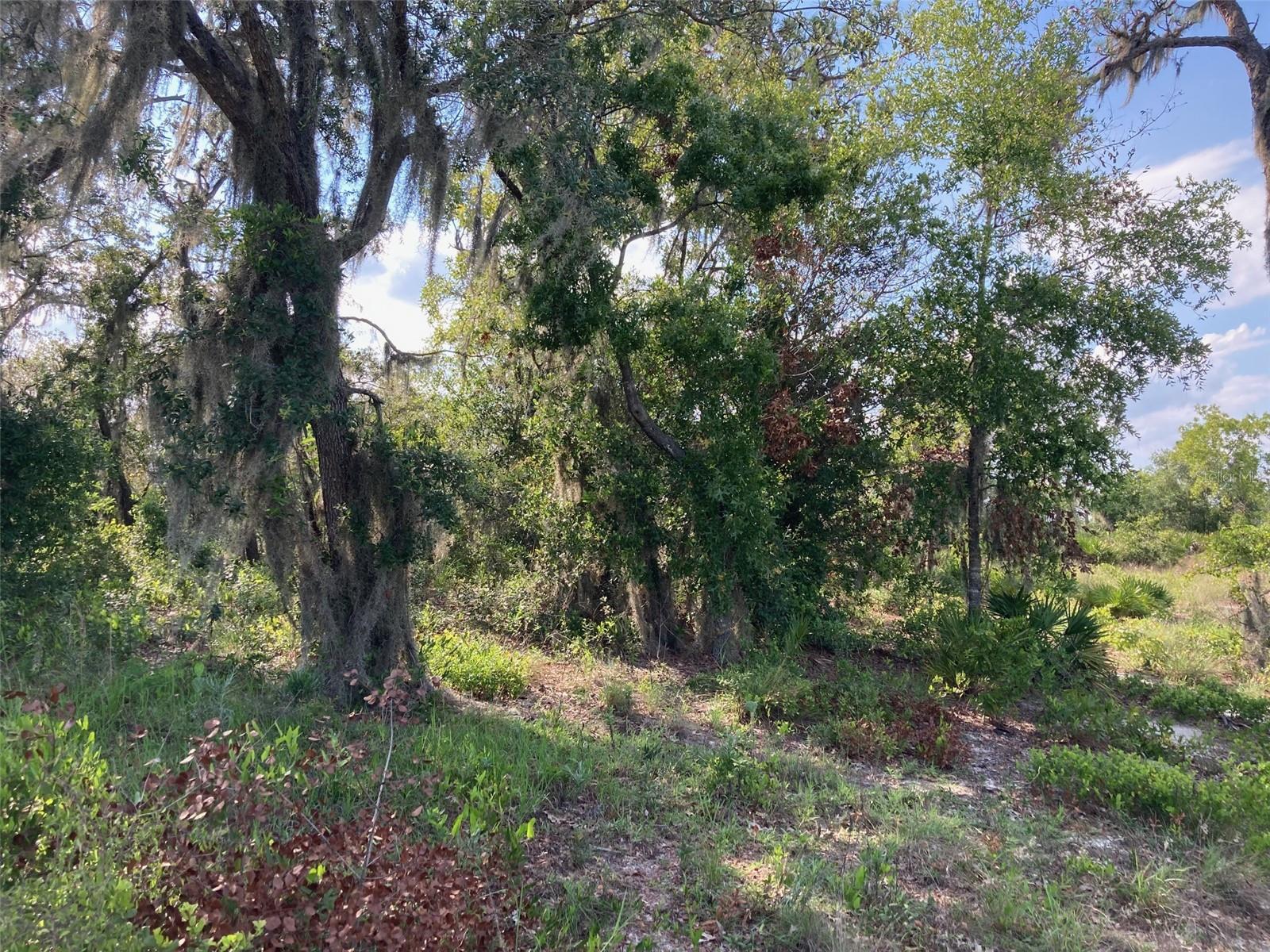 0 3rd Avenue, FL