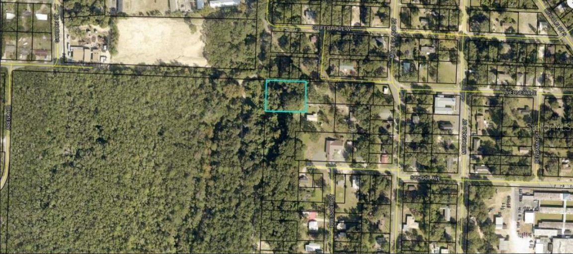 Edney Avenue, FL
