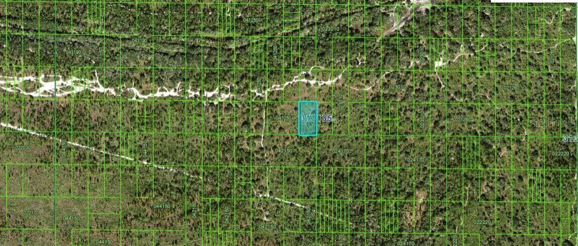 N/A, FL