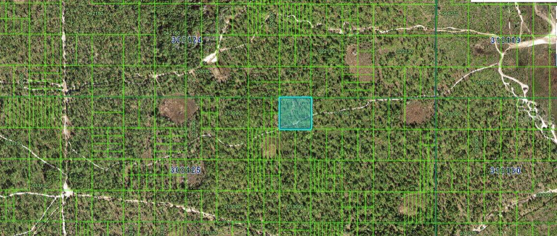 N/A, FL