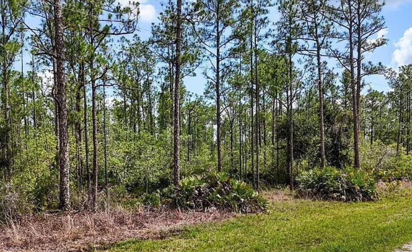 Oleander Drive, FL