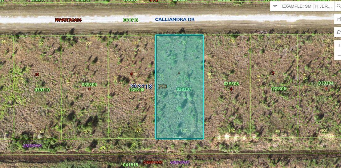 Calliandra Drive, FL