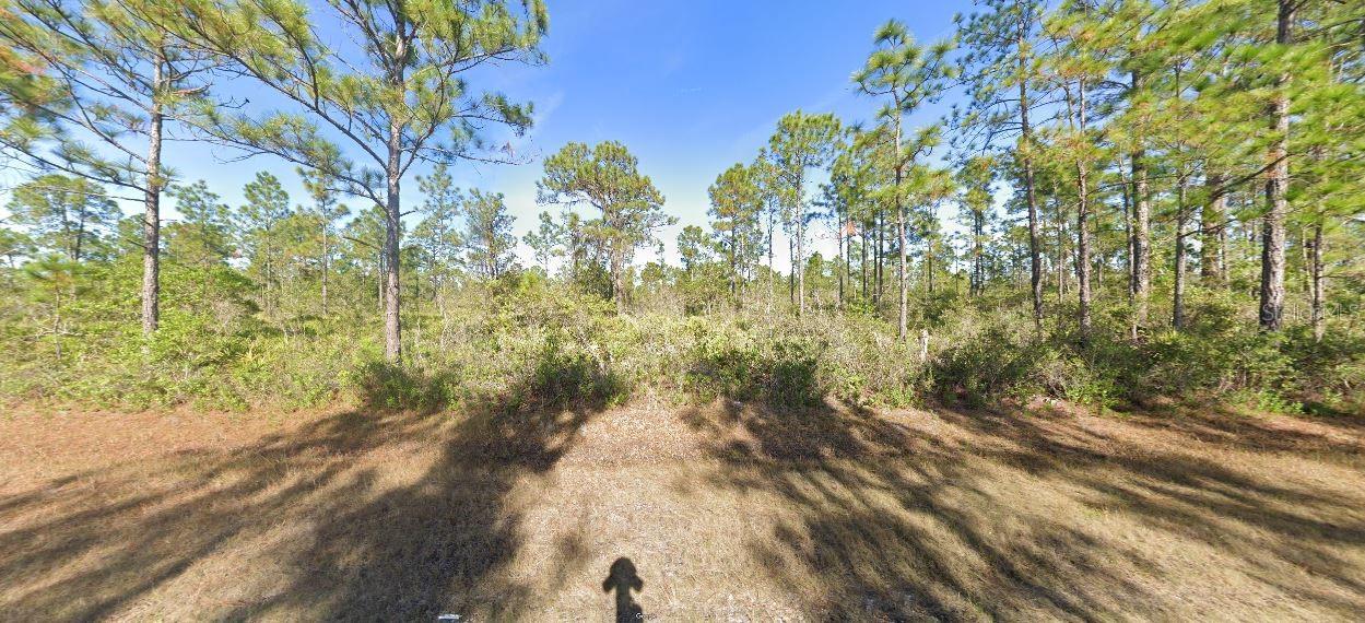 Calliandra Drive, FL