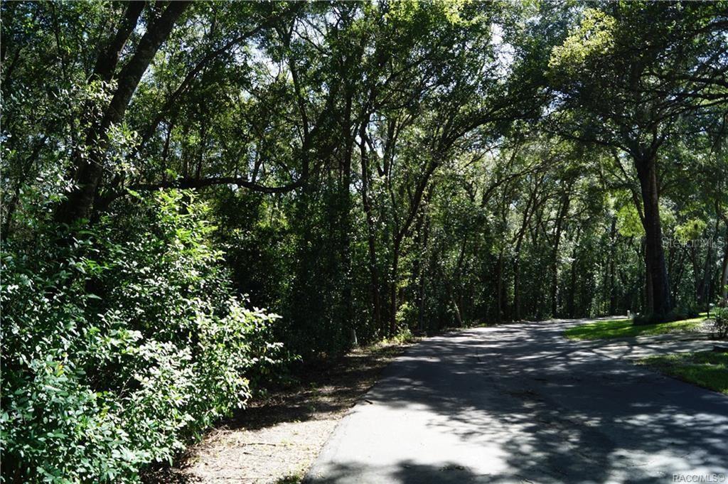 3505 Woodgate Drive, FL
