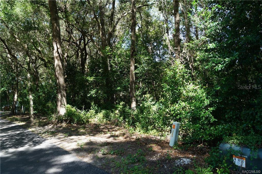 3505 Woodgate Drive, FL