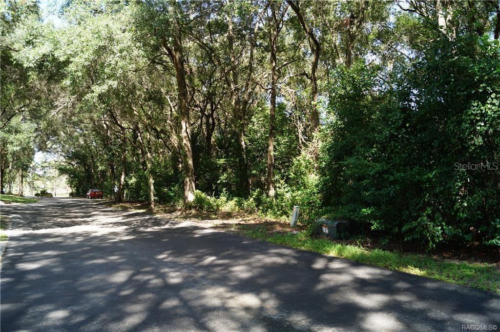 3505 Woodgate Drive, FL