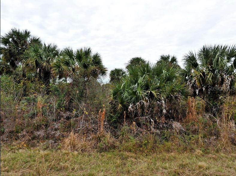 E Fiveleaf Dr,, FL