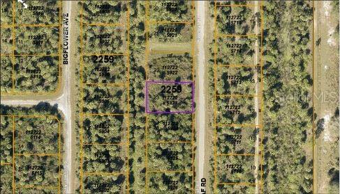 E Fiveleaf Dr,, FL