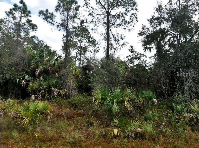 Ironside Street, FL