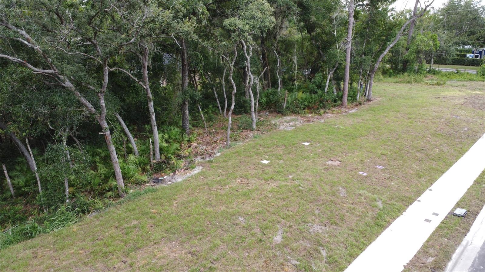 Baywood Street, FL