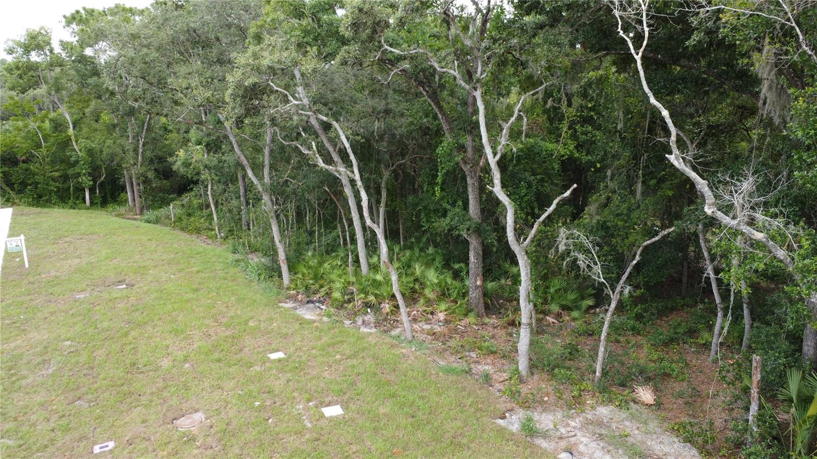 Baywood Street, FL