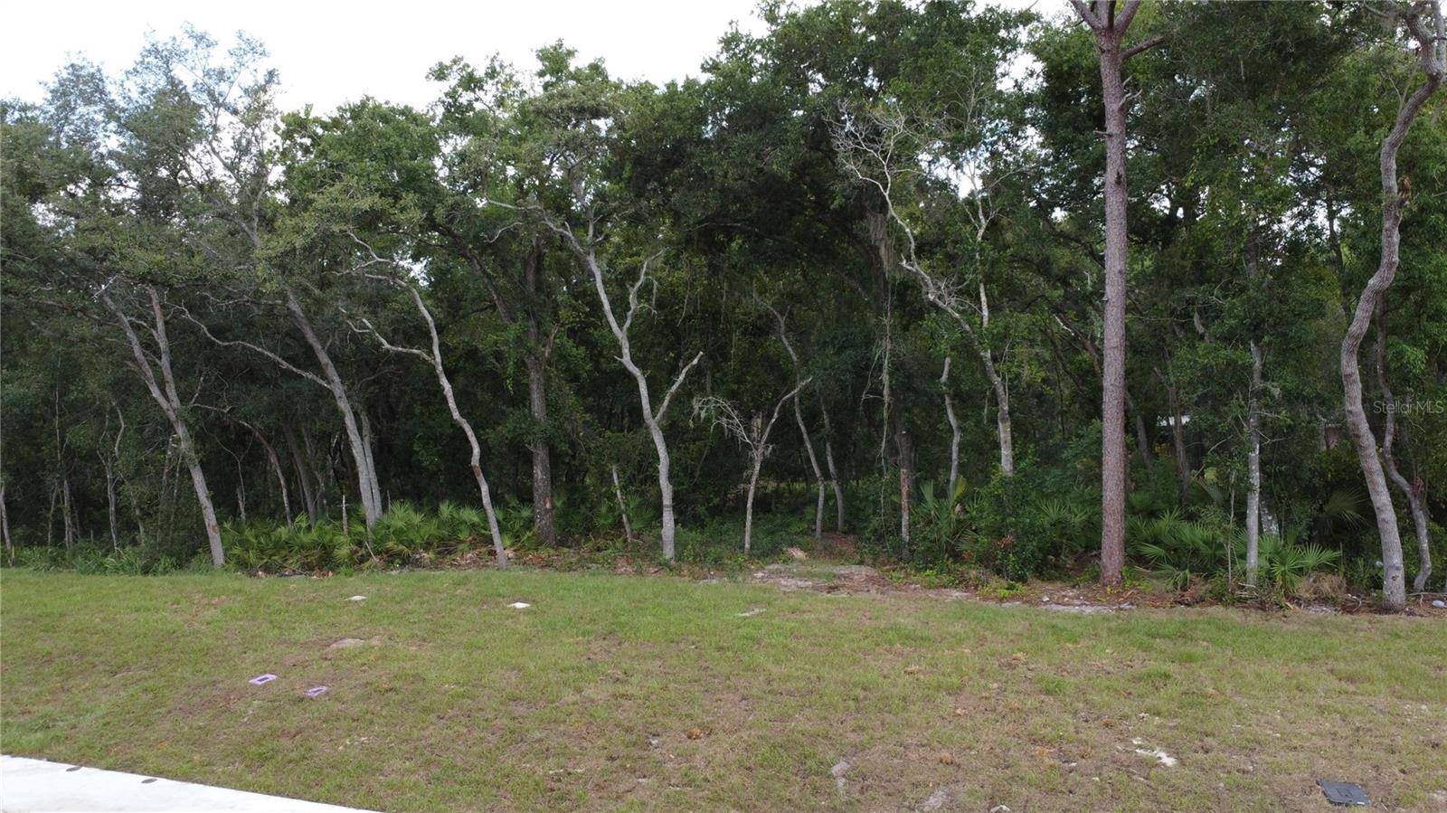 Baywood Street, FL